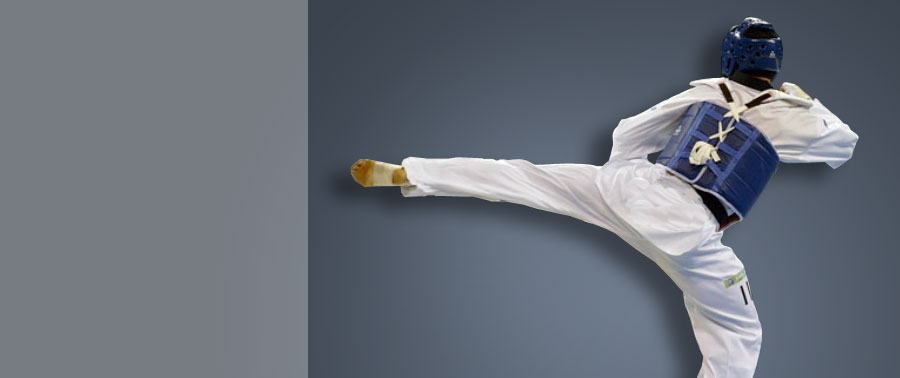 Clubul Sportiv ILYO Bistrita – Taekwondo WTF Rotating Header Image
